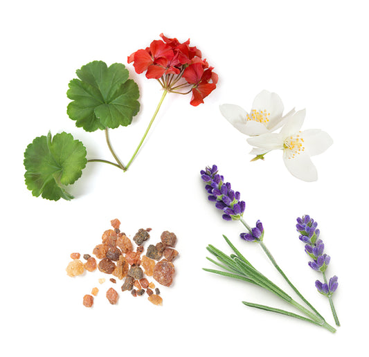 60203368 doTERRA hidratalokrem Inhaltsstoffe