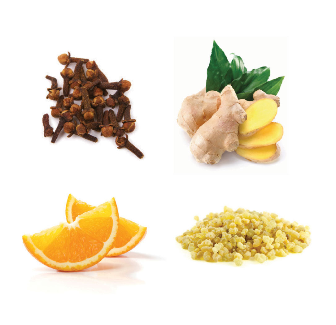 doTERRA holiday joy Inhaltsstoffe