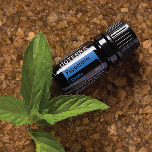 Pfefferminze doTERRA