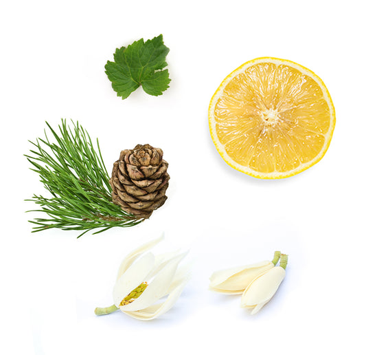 doTERRA shinrin-yoku ätherische Ölmischung 15 ml was ist enthalten