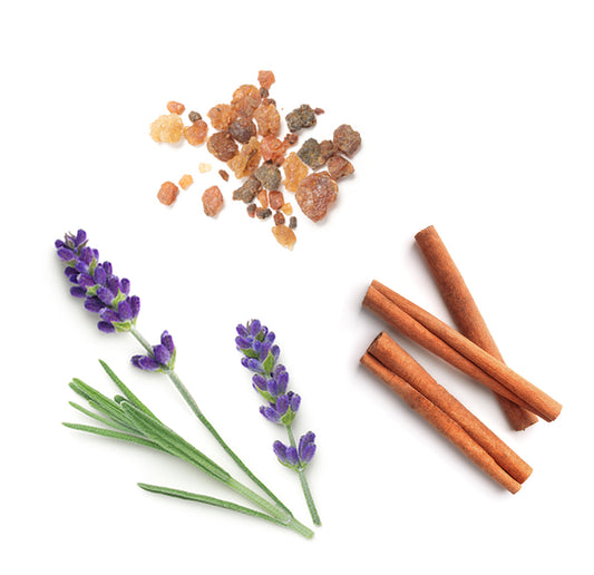 doTERRA anchor ätherische Ölmischung was ist enthalten