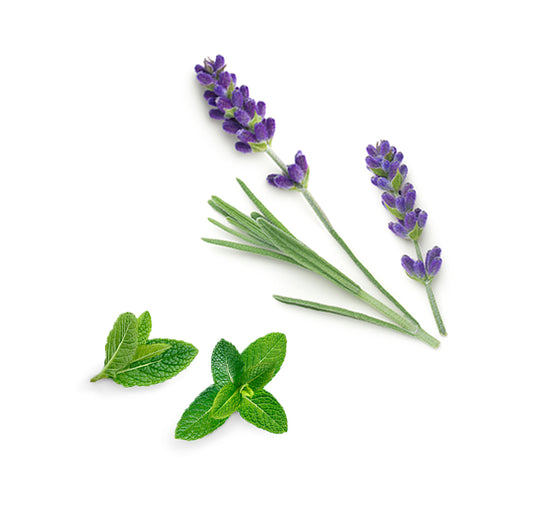 doTERRA rescuer Inhaltsstoffe