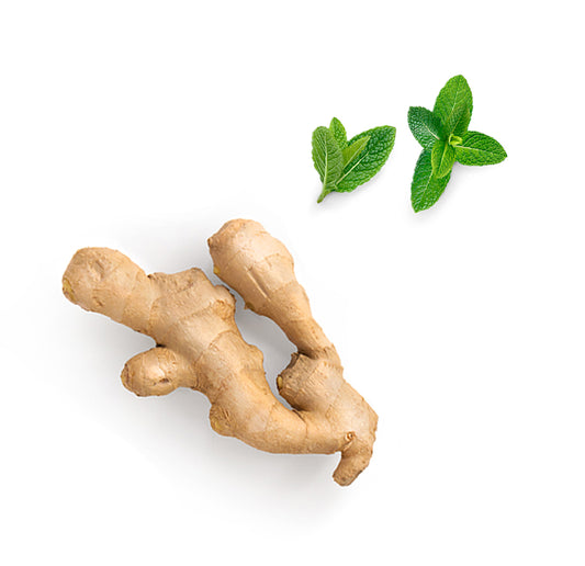 doTERRA tamer Inhaltsstoffe