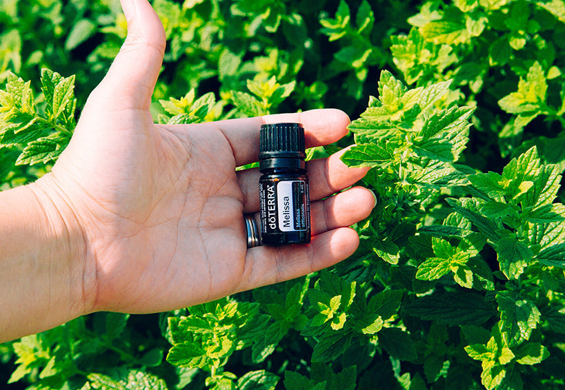 VoniaStore a Doterra hivatalos viszonteladója