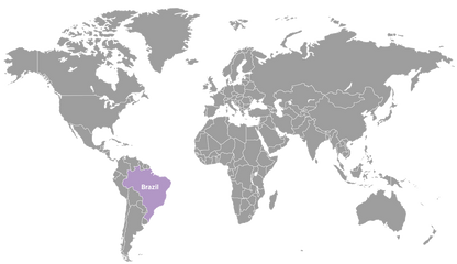 doTERRA Copaiba Öl touch 10 ml Brazil Beschaffung