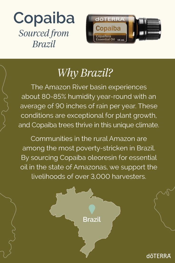 doTERRA Copaiba Öl touch 10 ml Brazil Beschaffung