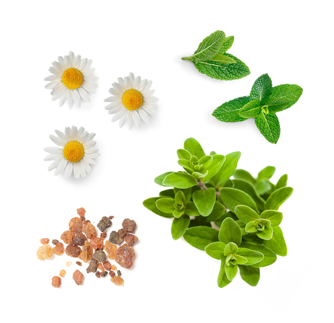 pasttense whats inside 1085x1050 eu