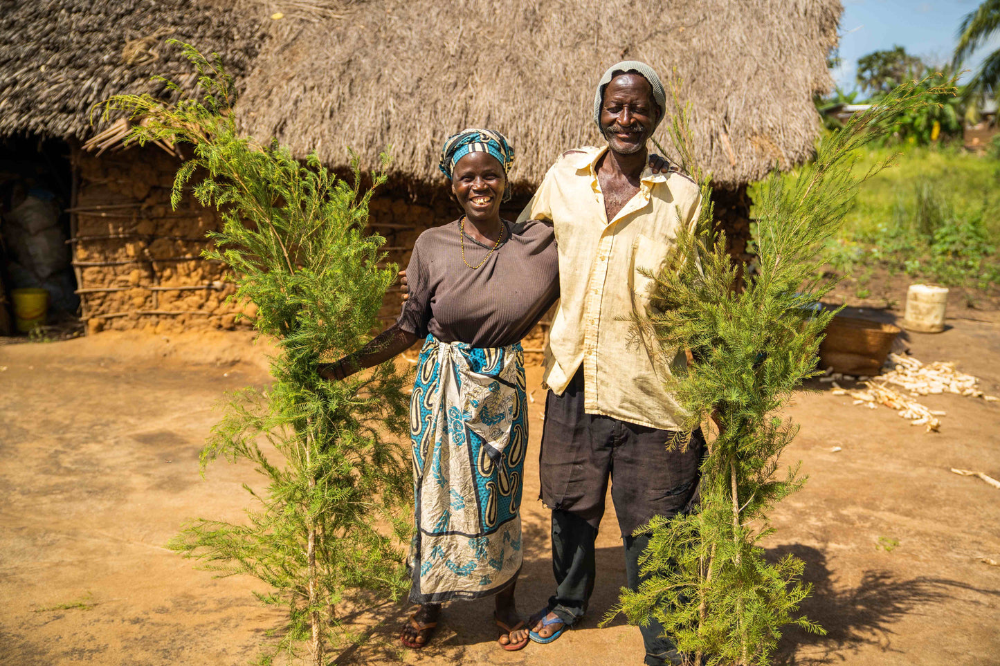 3X Impact Tee Tree, Kenya 12