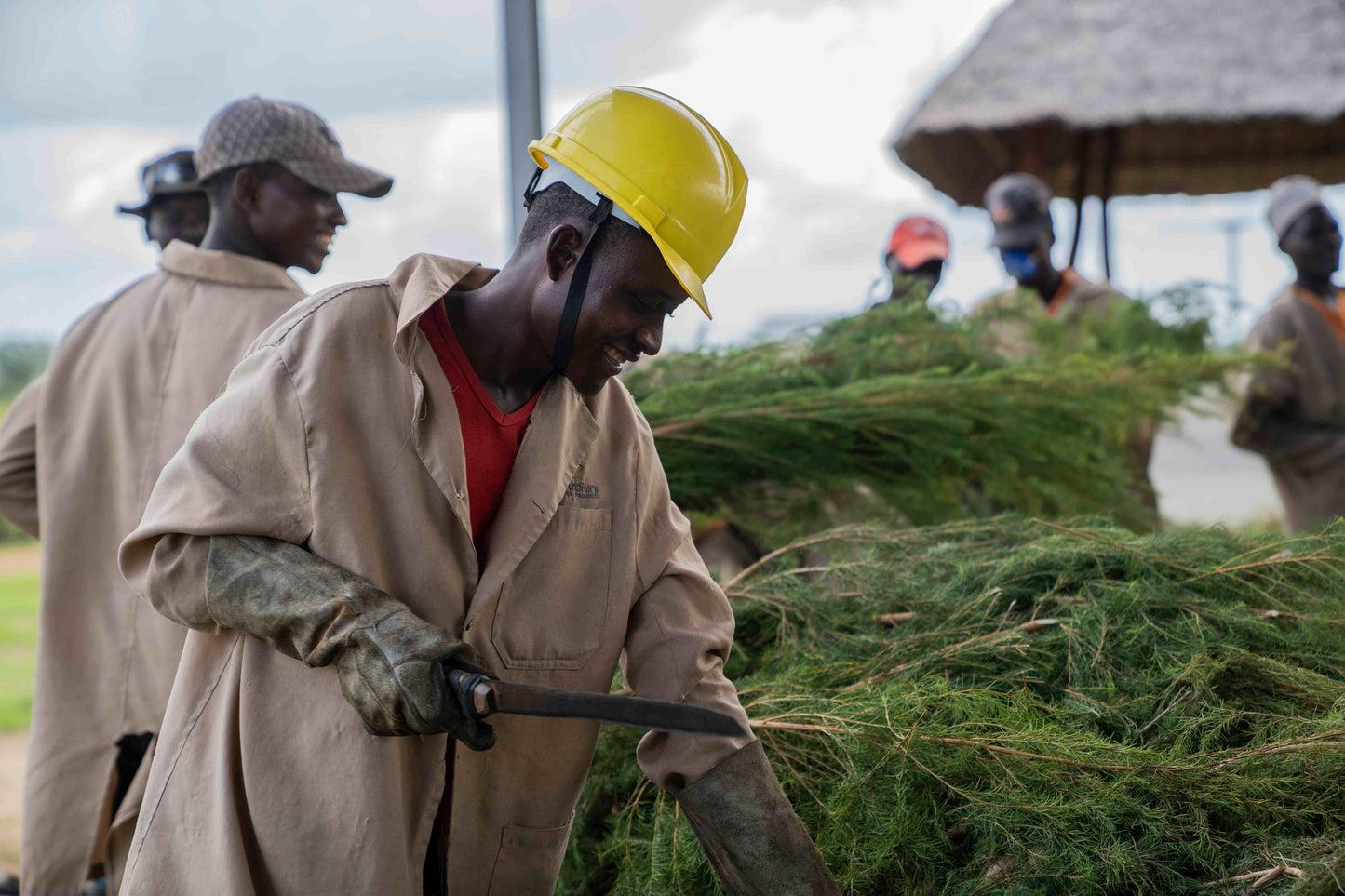3X Impact Tee Tree, Kenya 1