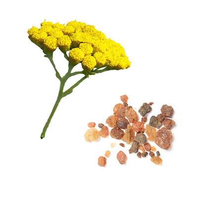 doTERRA Balance Touch Bestandteile