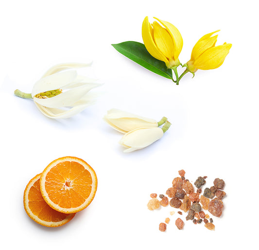 doTERRA sun tägliche mineralische Sonnenschutz und Feuchtigkeitscreme arcra Inhaltsstoffe