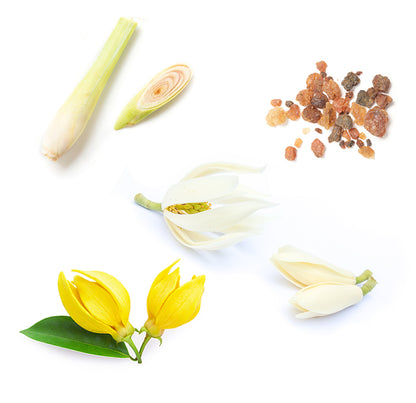 doTERRA sun mineralische Sonnenschutz Creme arcra und testre Inhaltsstoffe