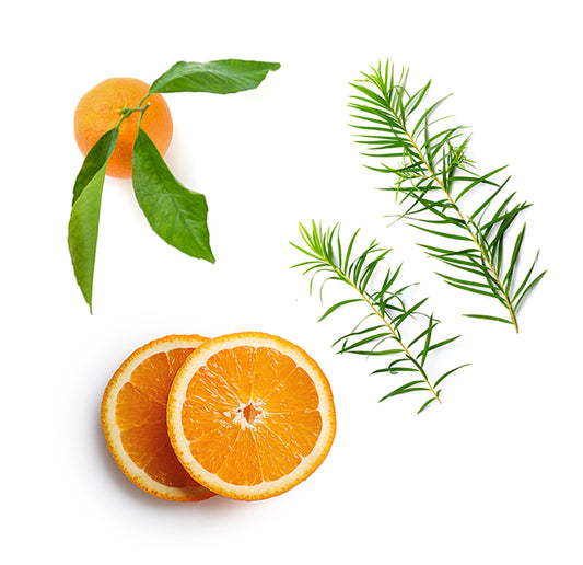 veragecleanser whats inside 1085x1050 eu