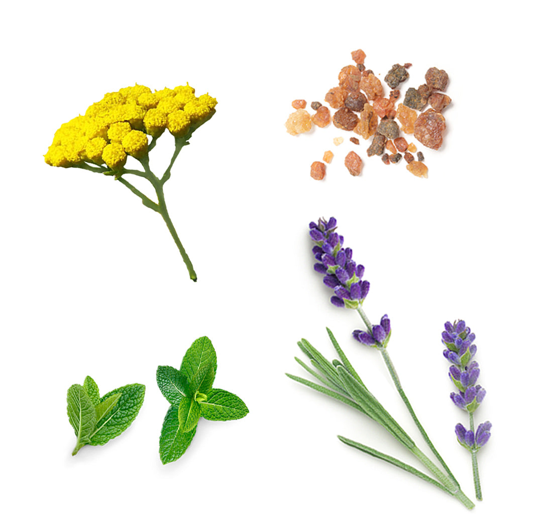 doTERRA sun Sonnenbad nachfolgende Bodylotion spray Inhaltsstoffe