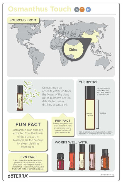 Osmanthus Touch (10 ml)