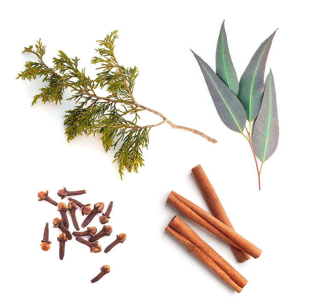 doTERRA Harvest Spice Inhaltsstoffe