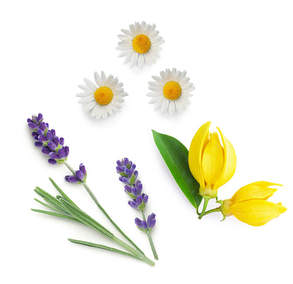 doTERRA serenity ätherische Ölmischung was ist enthalten