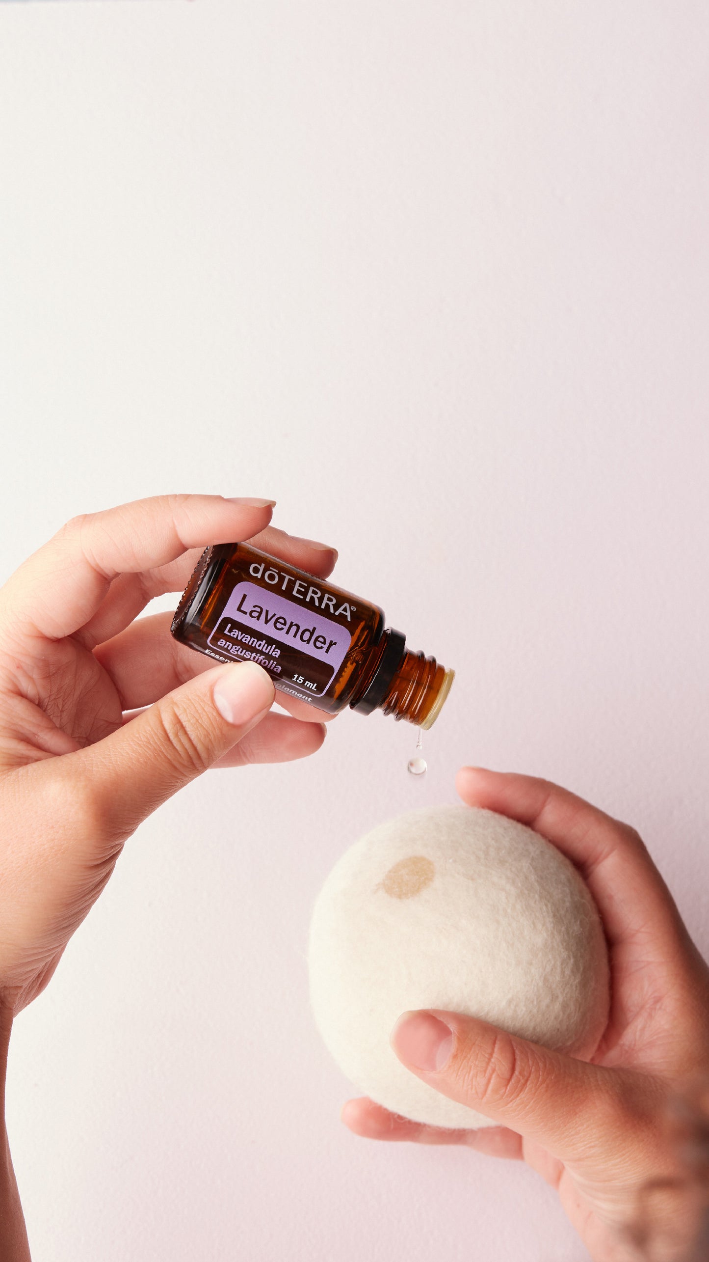 doTERRA Lavendel ätherisches Öl 15mg - Lavender