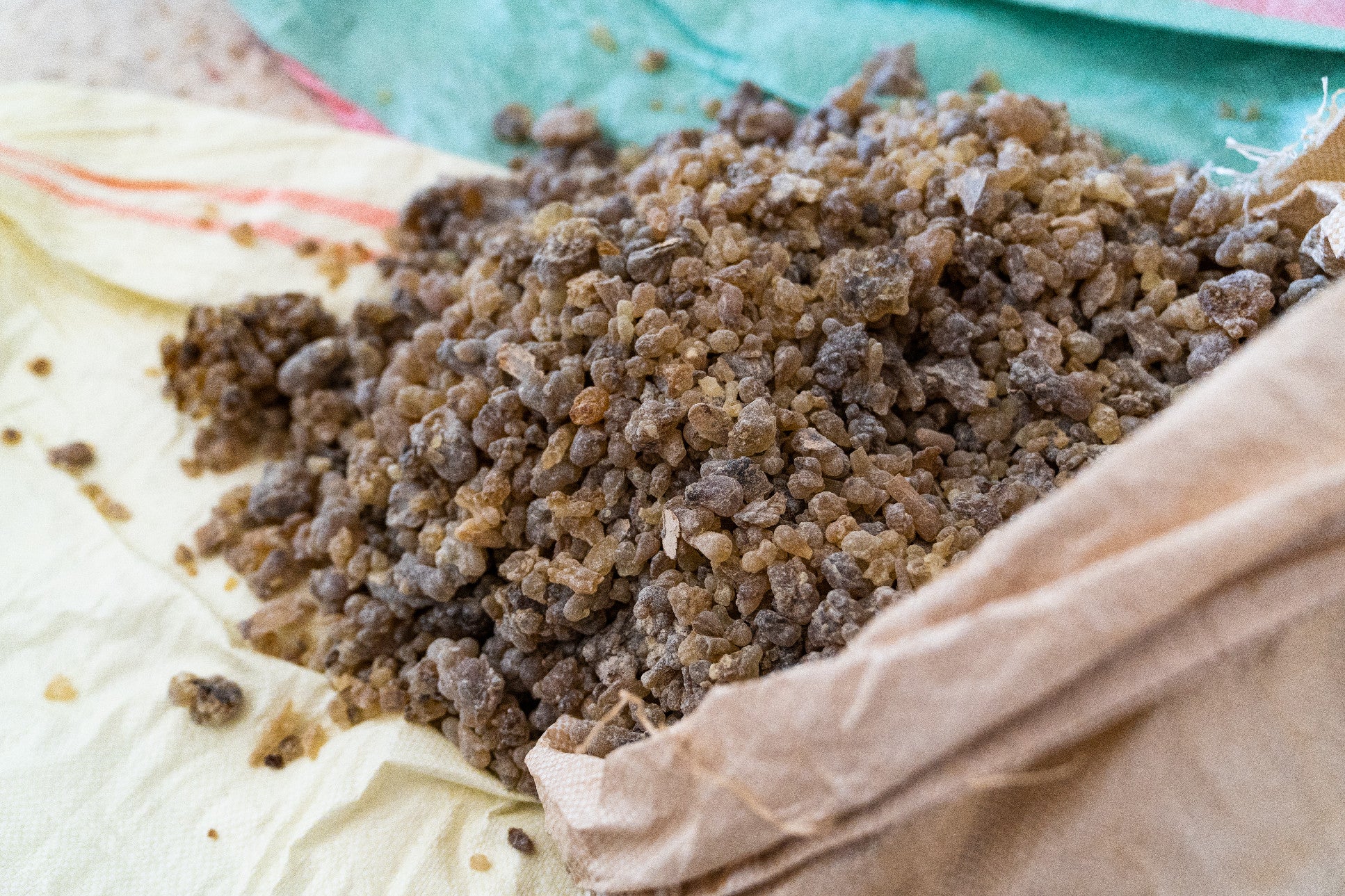 doTERRA Weihrauch ätherisches Öl frankincense 15 ml