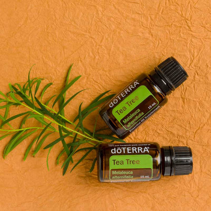 doTERRA Teebaum (Tee tree) ätherisches Öl 15 ml