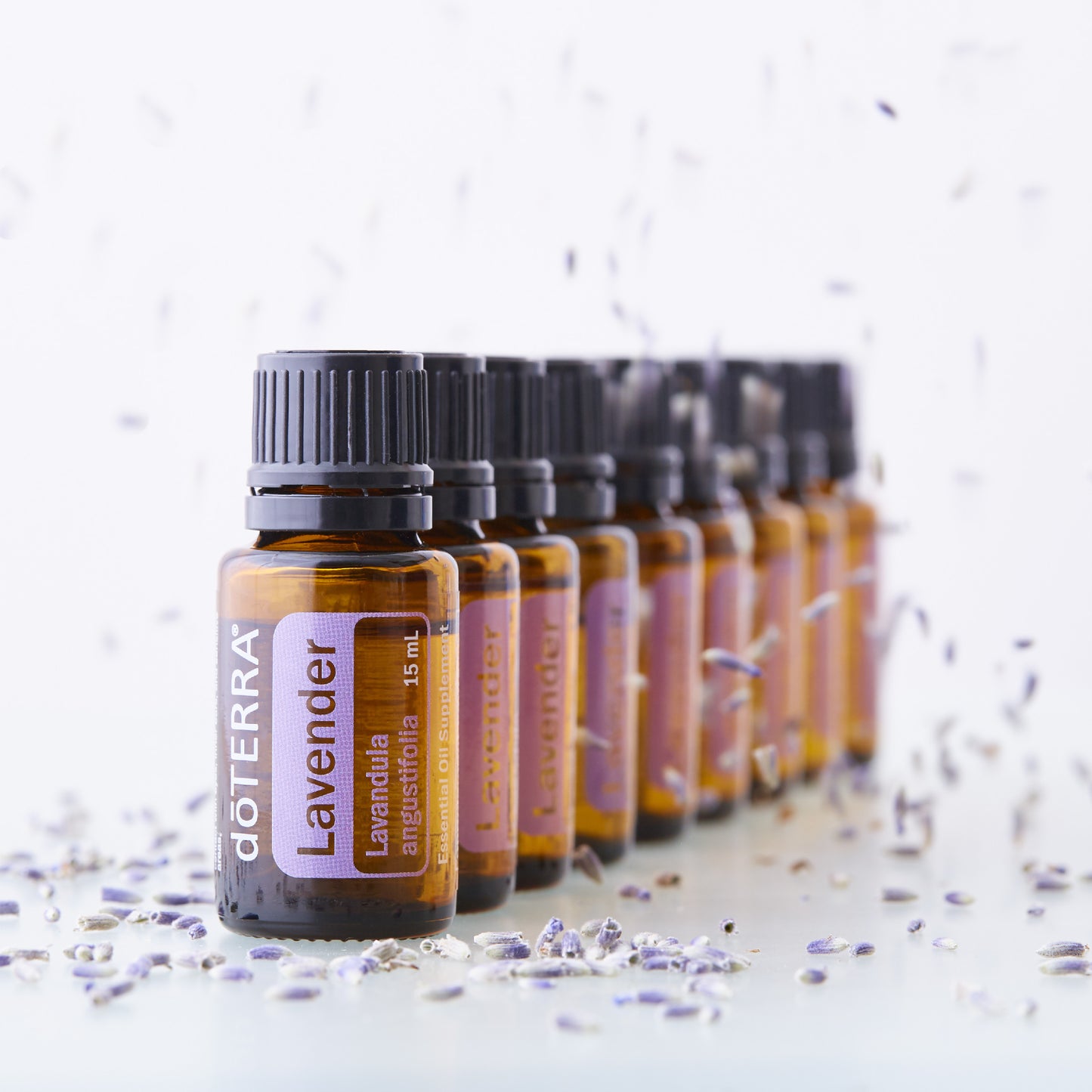 doTERRA Lavendel ätherisches Öl 15mg - Lavender