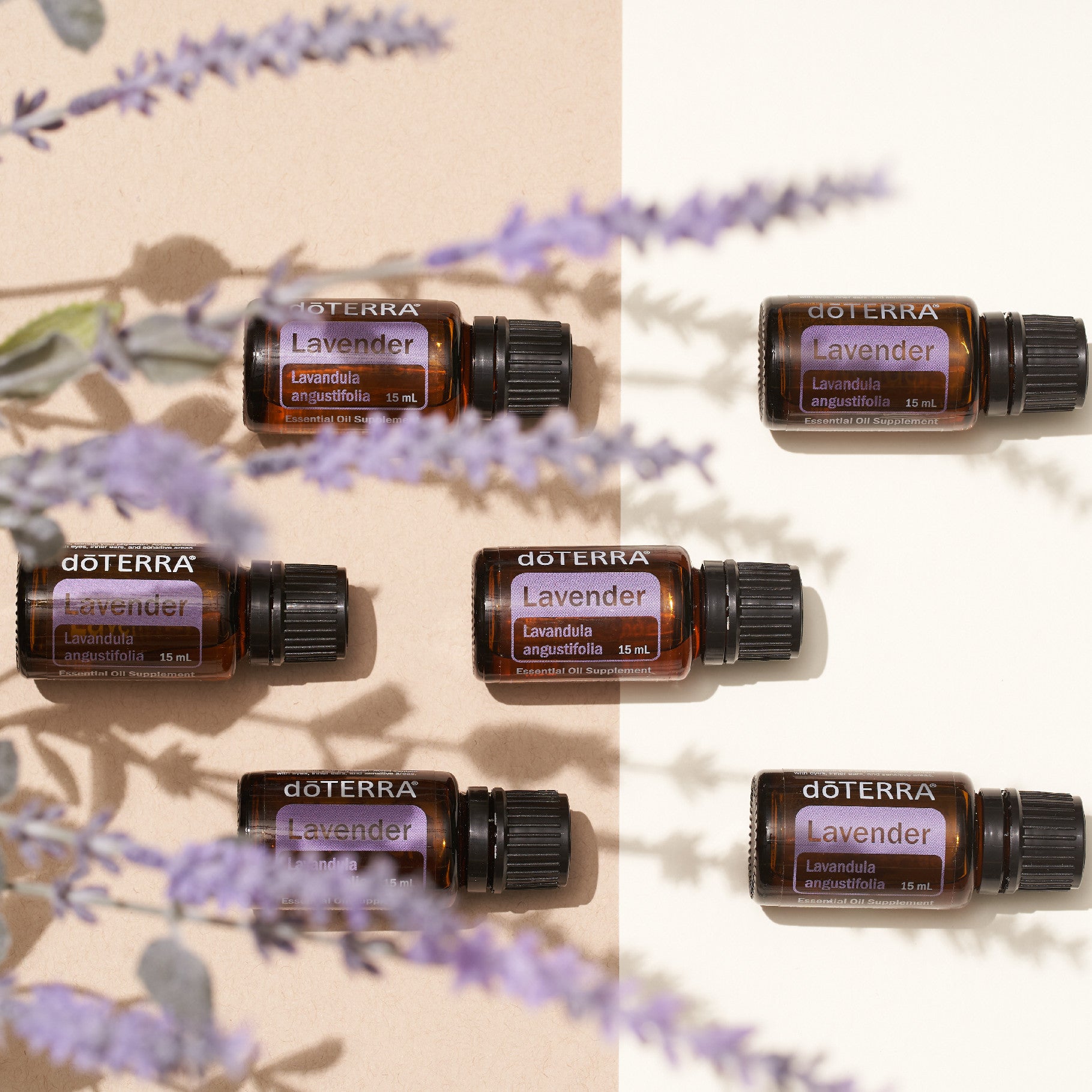 doTERRA Lavendel ätherisches Öl 15mg - Lavender