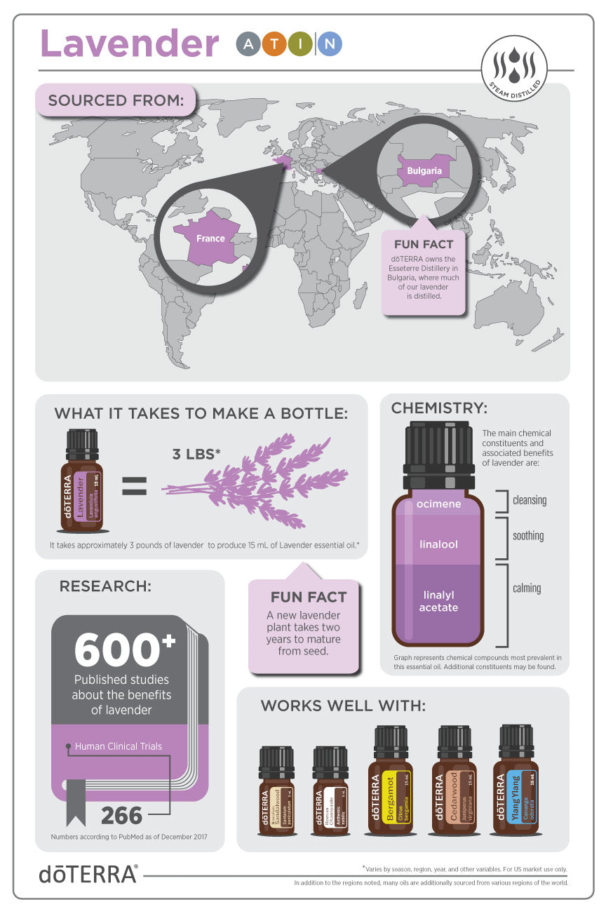 doTERRA Lavendel ätherisches Öl 15mg - Lavender