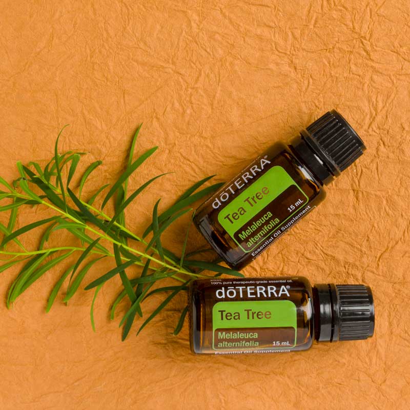 doTERRA Teebaum (Tee tree) ätherisches Öl 15 ml