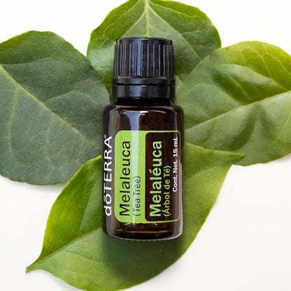 doTERRA Teebaum (Tee tree) ätherisches Öl 15 ml