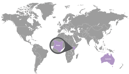 doTERRA Teebaum (Tee tree) ätherisches Öl Beschaffung