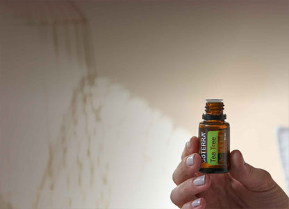 doTERRA Teebaum (Tee tree) ätherisches Öl 15 ml