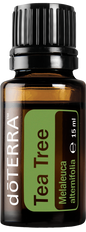 doTERRA Teebaum (Tee tree) ätherisches Öl 15 ml