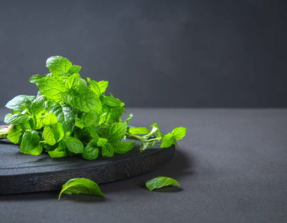 doTERRA Pfefferminze Perlen (Peppermint oil beadlet)