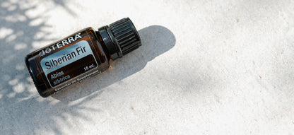 1600x733 siberian fiSibirische Tanne - siberian firr header