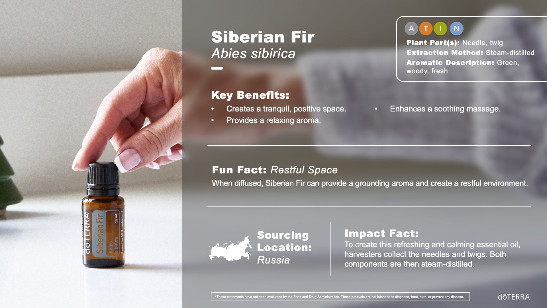 Sibirische Tanne - siberian fir Vorteile und Anwendung