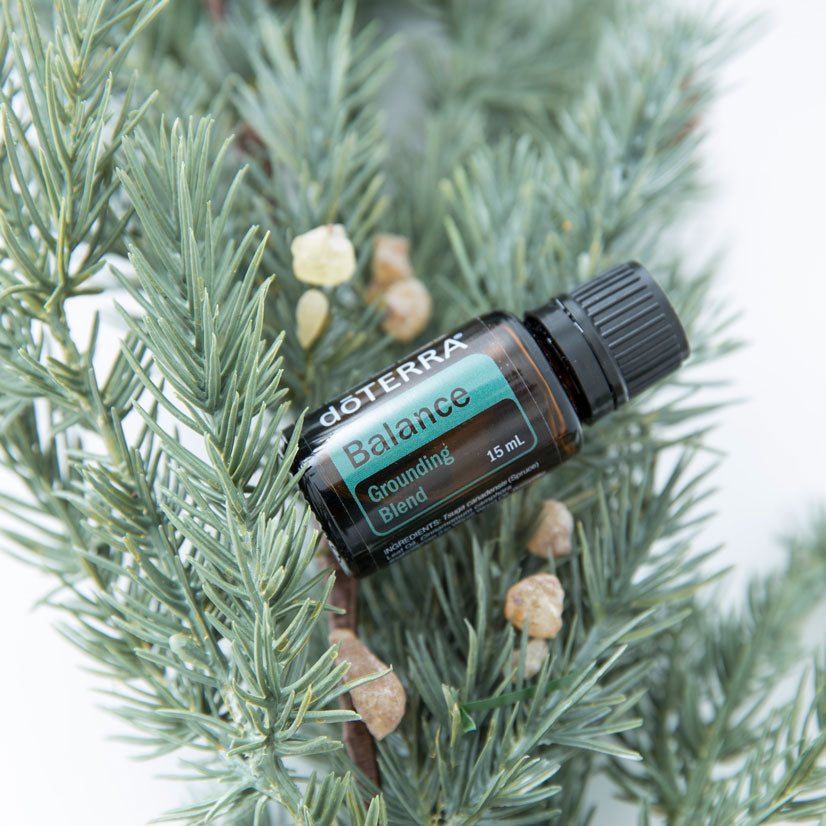 Balance Ölmischung 15 ml - doTERRA