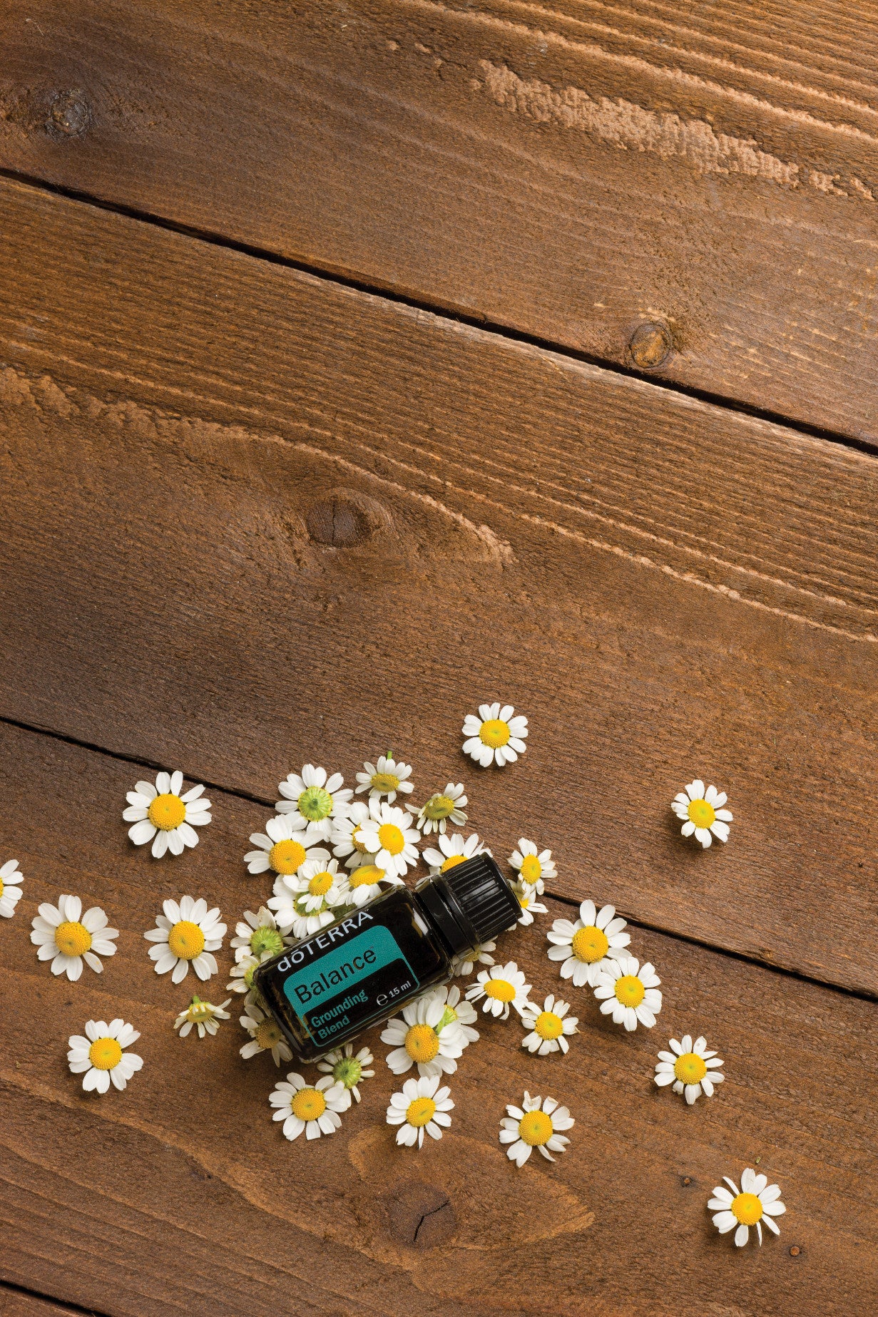 Balance Ölmischung 15 ml - doTERRA