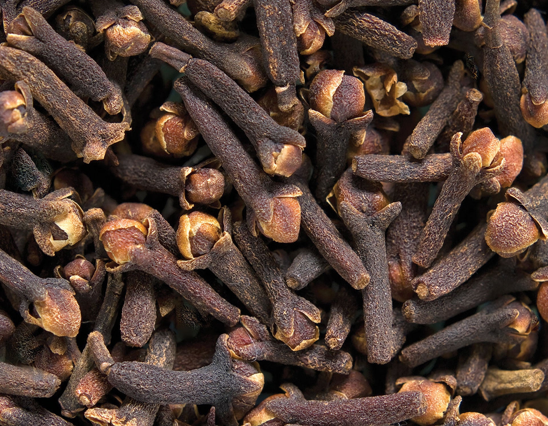 doTERRA Gewürznelke ätherisches Öl - clove 15 ml