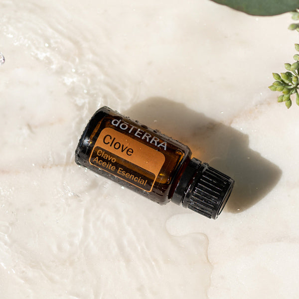 doTERRA Gewürznelke ätherisches Öl - clove 15 ml