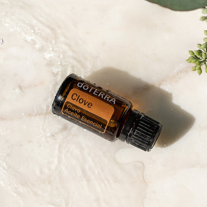doTERRA Gewürznelke ätherisches Öl - clove 15 ml
