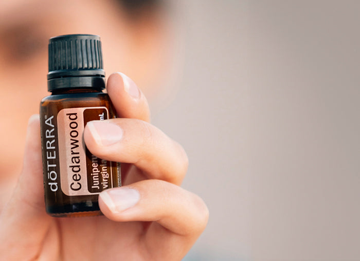 doTERRA Rotzeder (Cedarwood) ätherisches Öl 15 ml