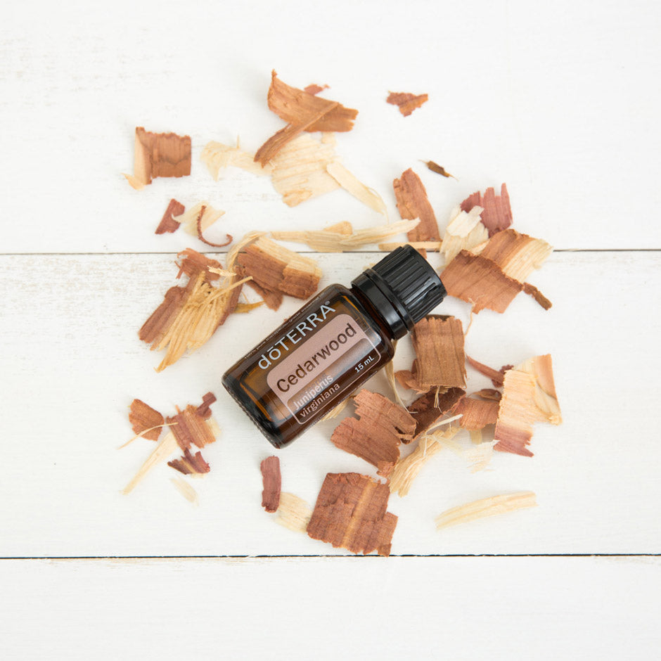 doTERRA Rotzeder (Cedarwood) ätherisches Öl 15 ml