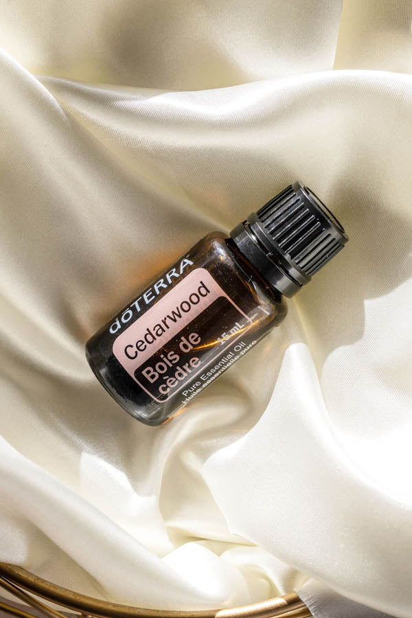 doTERRA Rotzeder (Cedarwood) ätherisches Öl 15 ml