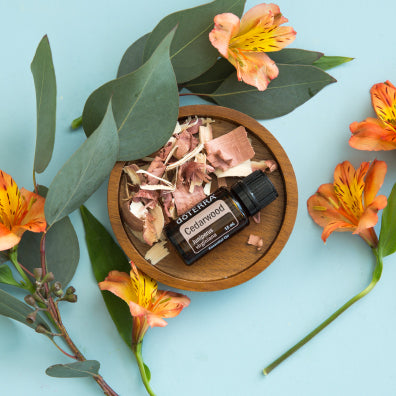 doTERRA Rotzeder (Cedarwood) ätherisches Öl 15 ml