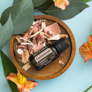 doTERRA Rotzeder (Cedarwood) ätherisches Öl 15 ml