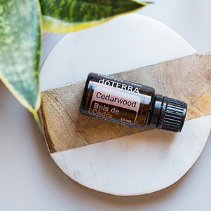doTERRA Rotzeder (Cedarwood) ätherisches Öl 15 ml