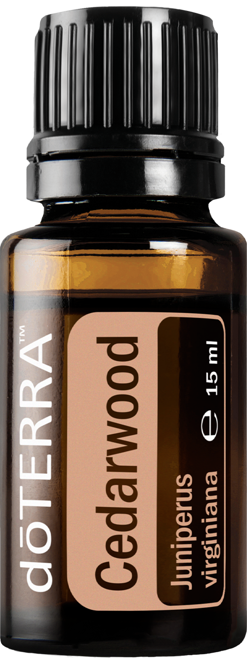 doTERRA Rotzeder - cedar wood 15 ml