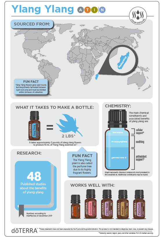 doTERRA - Ylang Ylang Informationen