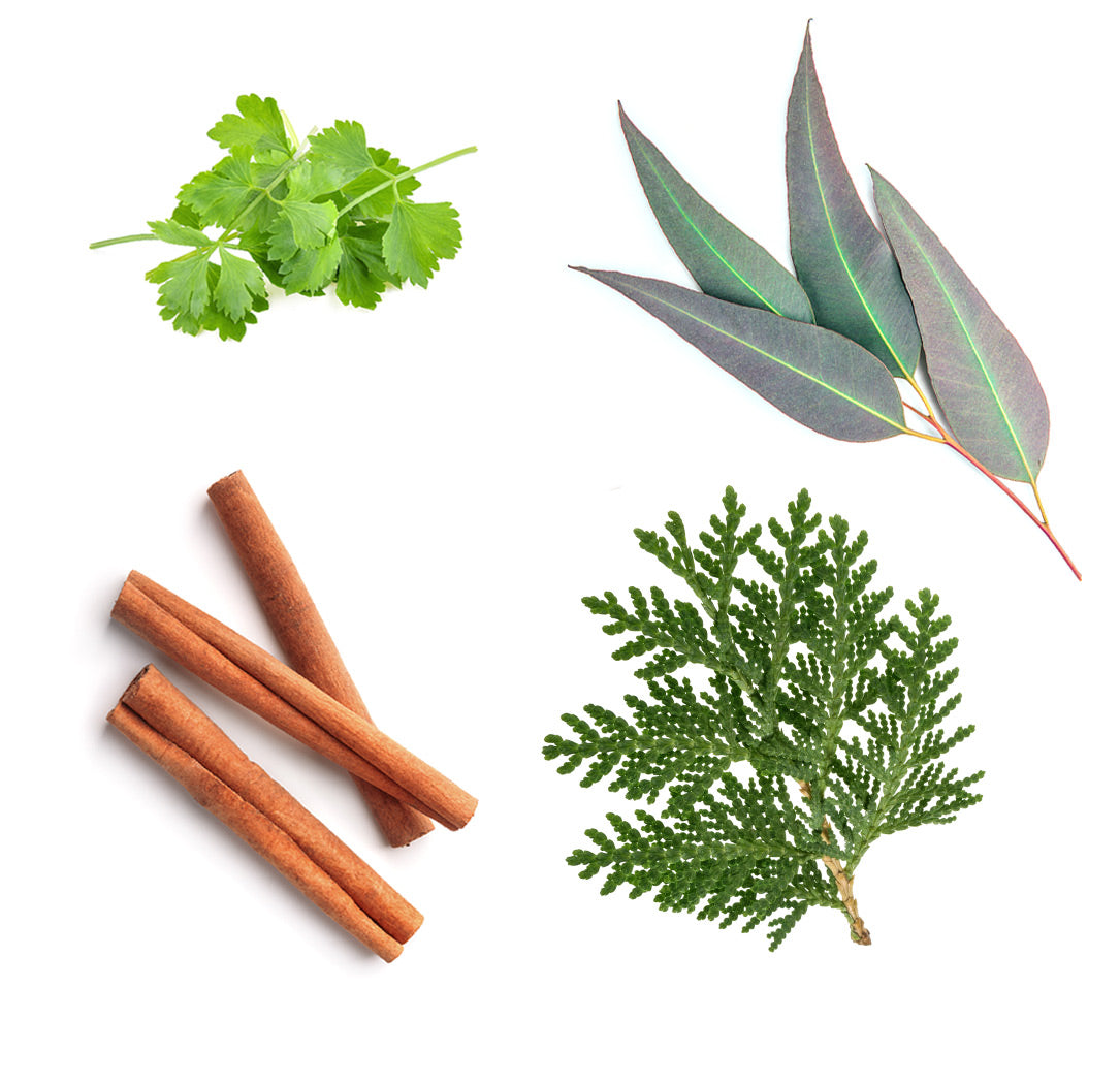 abode ätherisches Öl tartalma