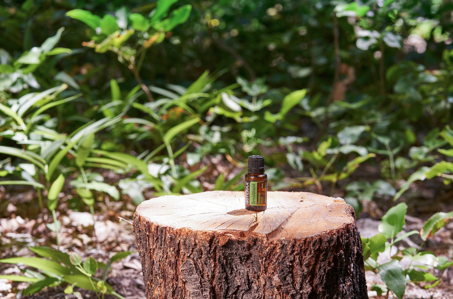 doTERRA terrashield 15 ml ätherische Ölmischung